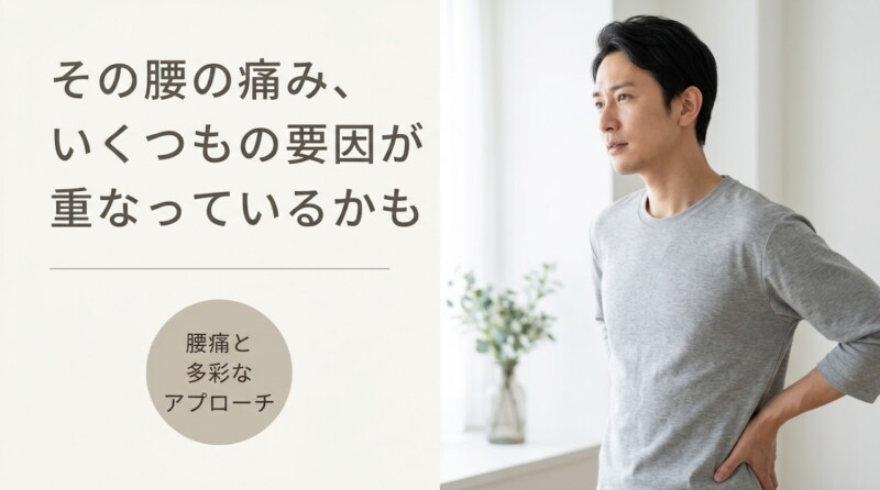 住吉区・長居で腰痛を根本改善｜手技と鍼灸による多彩なアプローチ｜ながい針灸整骨院